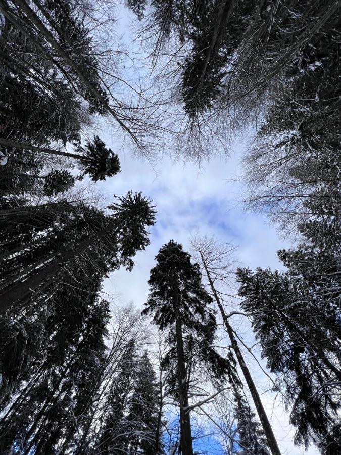 Садиба Between Mountains Mizhhirya  Eksteriør billede