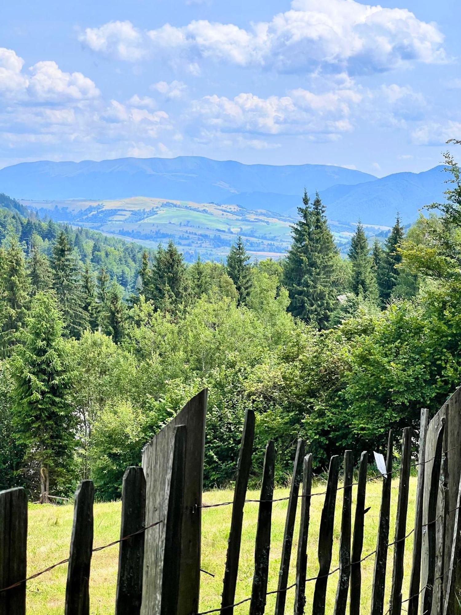 Садиба Between Mountains Mizhhirya  Eksteriør billede